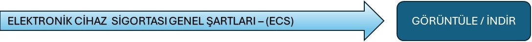 Elektronik Cihaz Genel Şartları