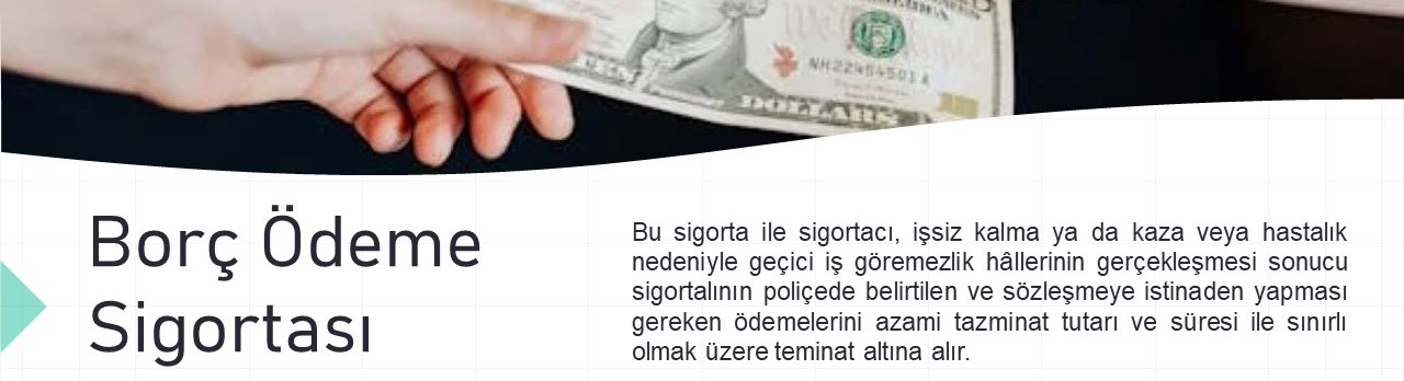 Borç Ödeme Sigortası Kapak Resmi