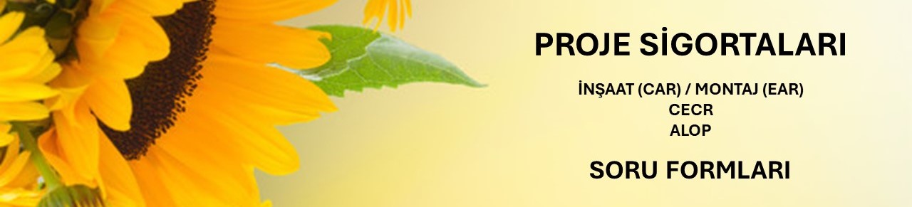 mühendislik proje sigortaları başlık