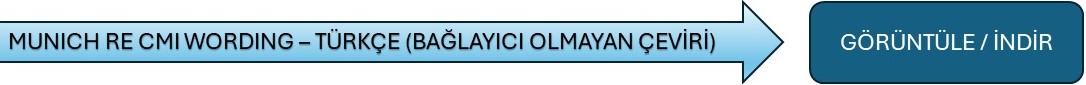 CMI Genel şartı Türkçe