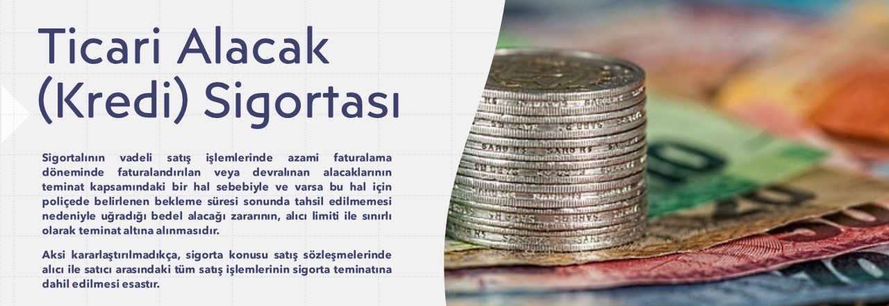 Ticari Alacak (Kredi) Sigortası Kapak Resmi