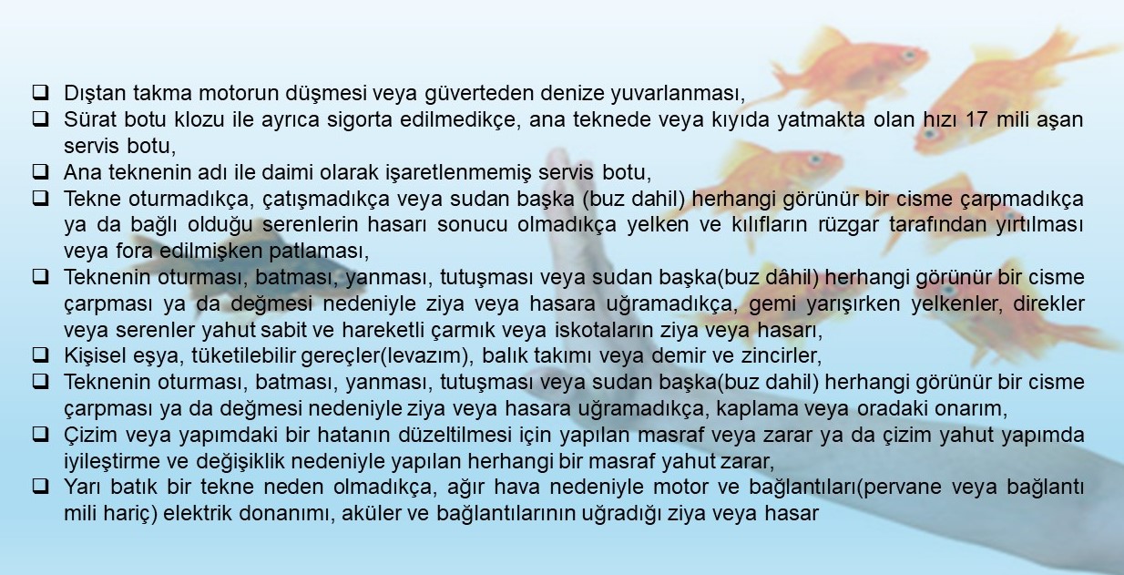 Gezinti Tekneleri istisna edilem hususlar